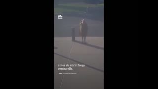 W USA coś się zaczyna dziać ludzie zachowują się dziwnie coraz częściej policja ich zabija