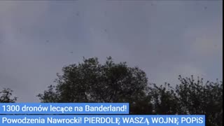 NIE MOJA WOJNA NIE MÓJ PROBLEM! NIE POMAGAM PAŃSTU GLORYFIKUJĄCEGO BANDERĘ I UPA!