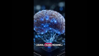 Komputery z tkanki mózgowej czy tworzymy swoją wersję w sieci