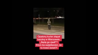 Kurier z Afryki łapie kaczkę w Polsce