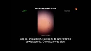 Krew zombie. Dr Wilfredo Stokes i granica między życiem a kontrolą