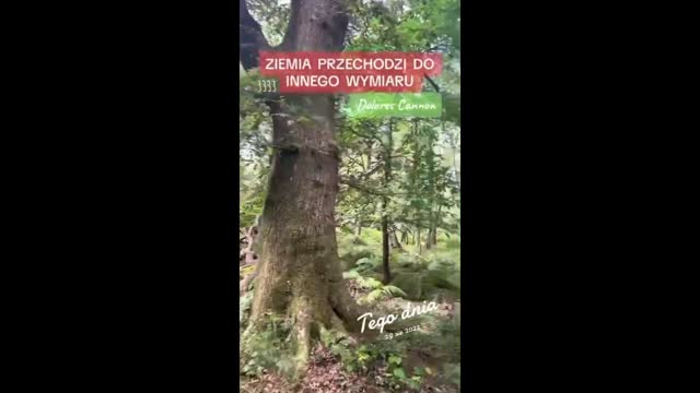Czy przechodzimy transformację i wszystko się zmienia